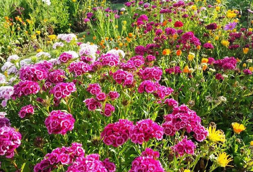 مبيت وإفطار Blooming Delight Tauranga