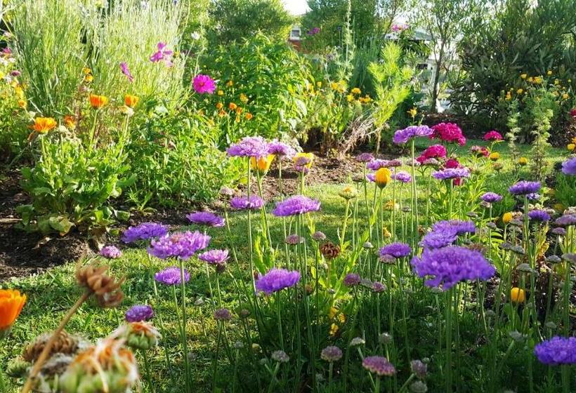 مبيت وإفطار Blooming Delight Tauranga