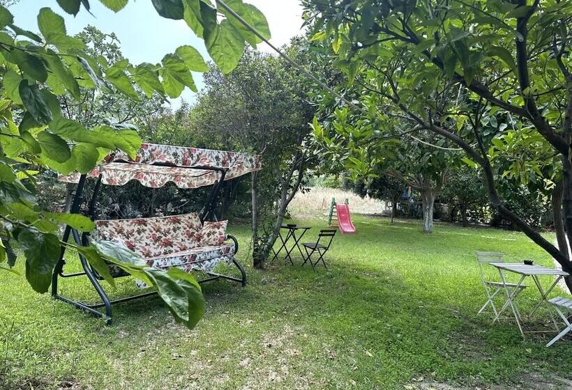 住宿加早餐  Datça House Butik Otel