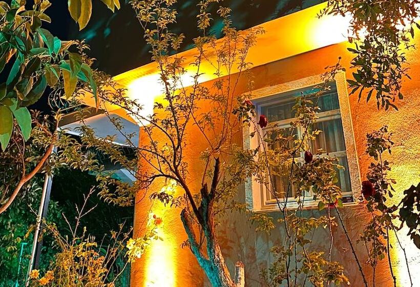 住宿加早餐  Datça House Butik Otel