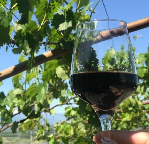 تختخواب و صبحانه Guest House Daviti