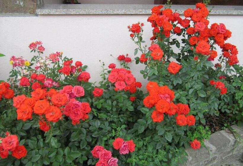 צימר Le 3 Camelie Malpensa