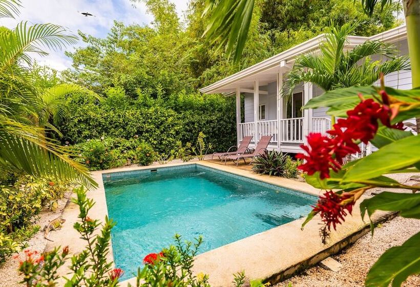 민박 Les Voiles Blanches Tamarindo