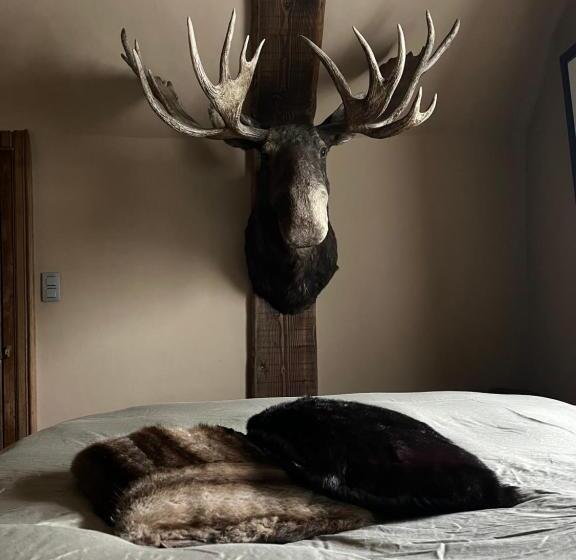 ベッドアンドブレックファースト Maison Galerie Art N Pepper