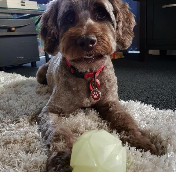 ベッドアンドブレックファースト Papamoa Retreat