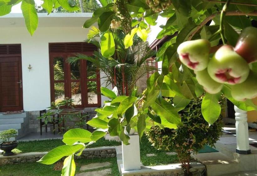 Bed and Breakfast Singithi Villa