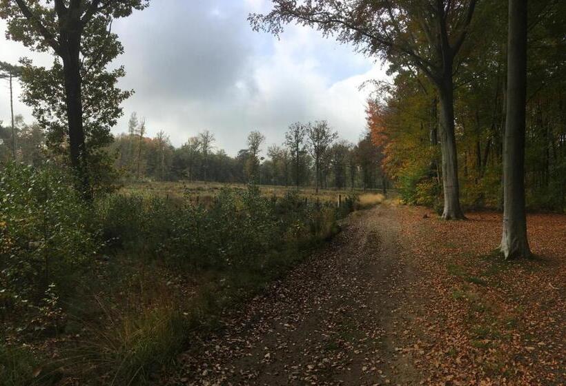 ベッドアンドブレックファースト Villa Helena