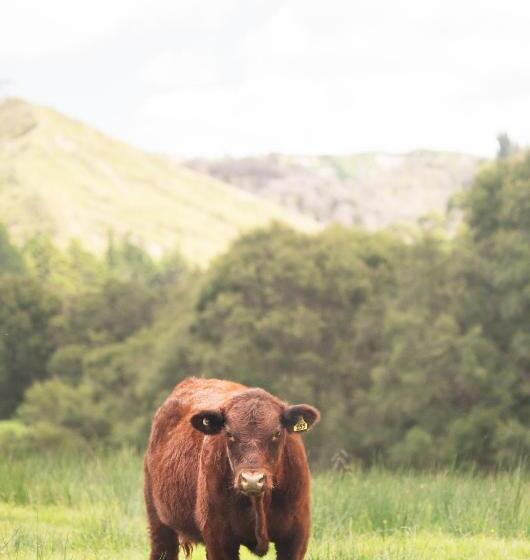 تختخواب و صبحانه Villa Shemshi