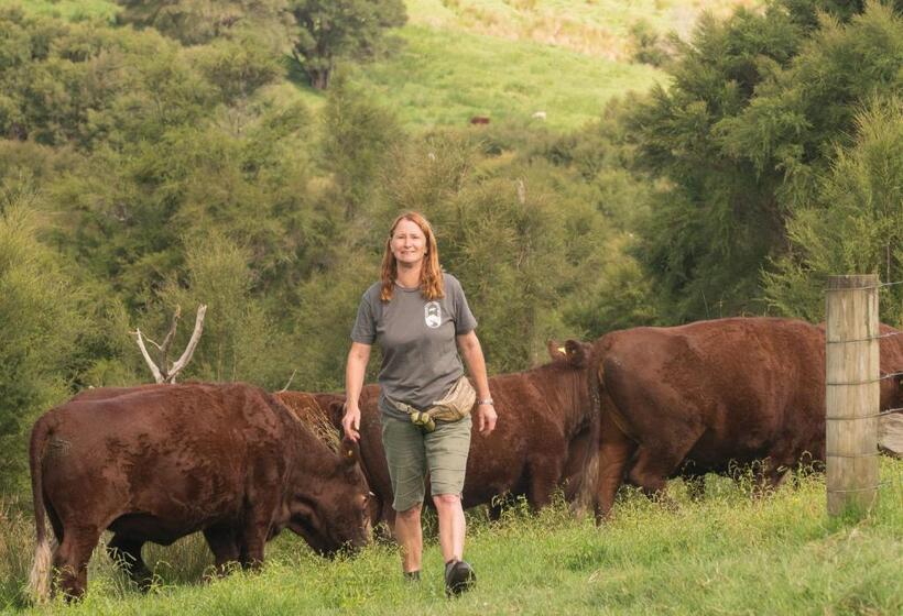 تختخواب و صبحانه Villa Shemshi