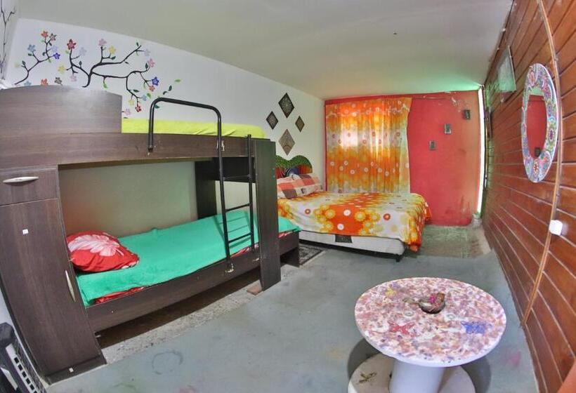 Casita Del Arbol Hostel
