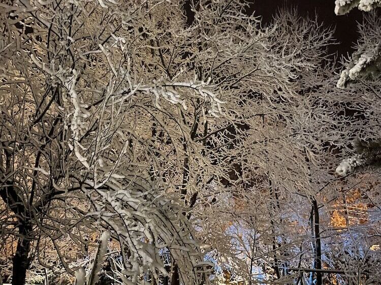 Feel & Live Hotel Villas Restaurant