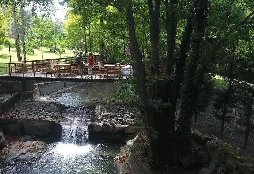 Feel & Live Hotel Villas Restaurant