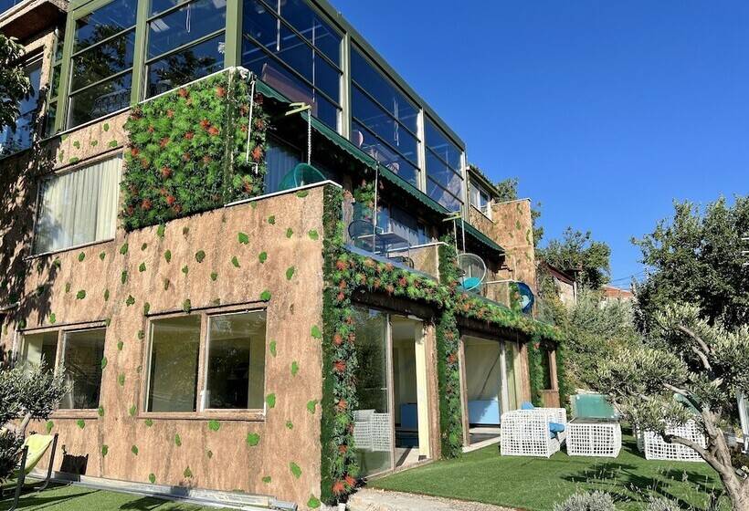 فندق فئة نجمة واحدة Mandarine Kayalar