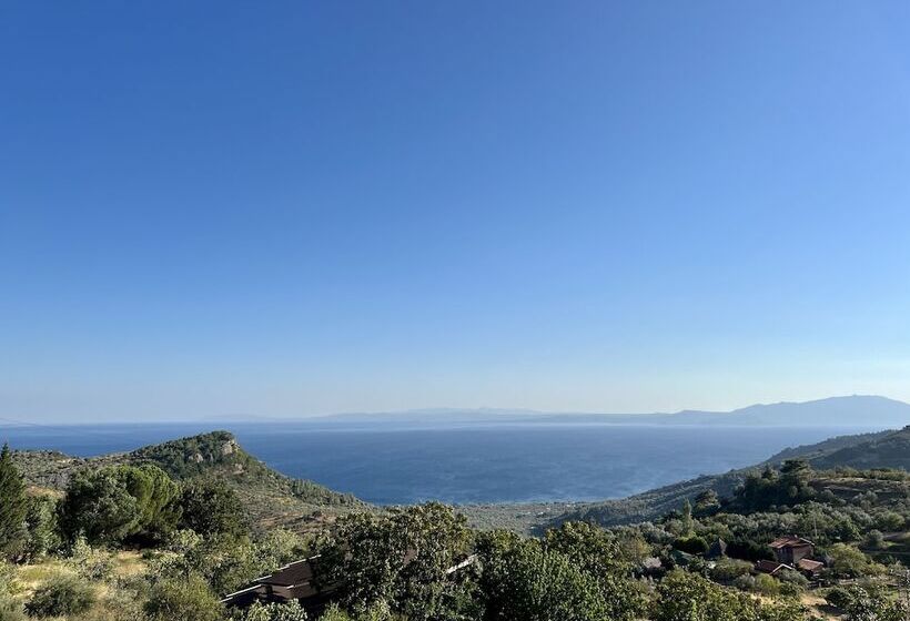 فندق فئة نجمة واحدة Mandarine Kayalar