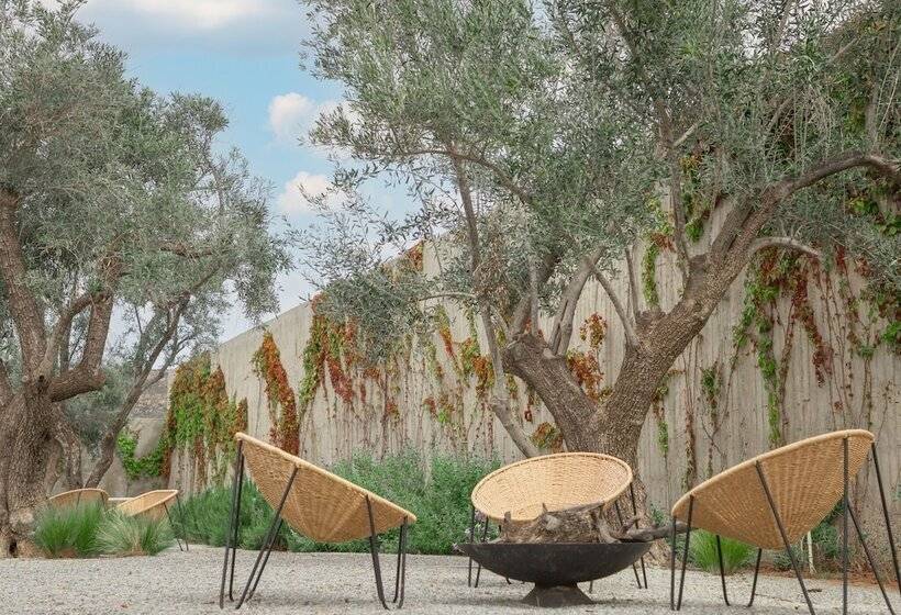 فندق Andana Resort