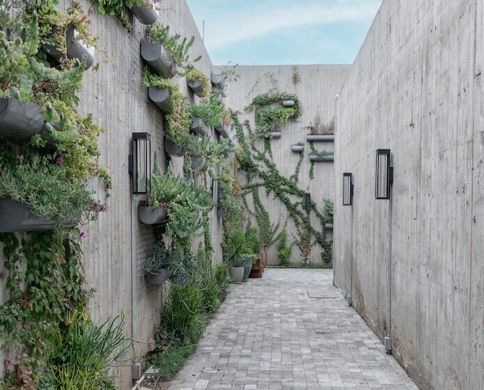 فندق Andana Resort