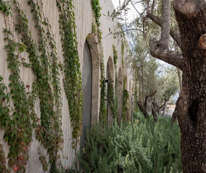 فندق Andana Resort