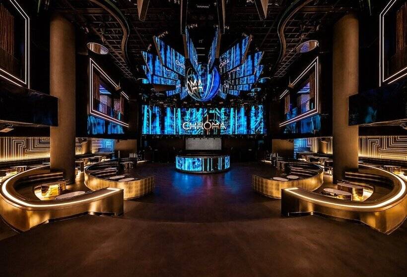 Hotel Art Paradiso, Paradise City