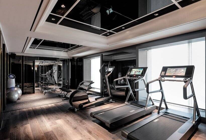 Hotel Art Paradiso, Paradise City