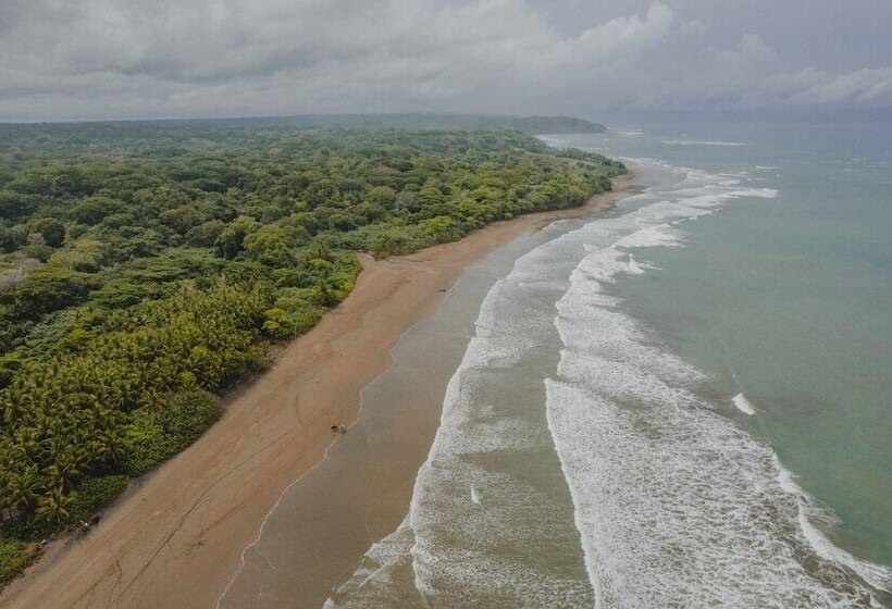 酒店 Bohemia Experience