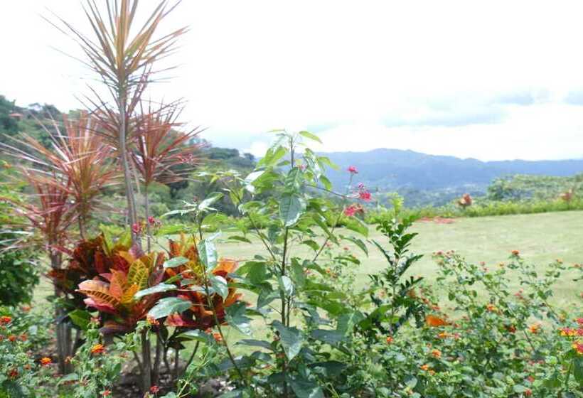 ホテル Bungalows Sanlaz