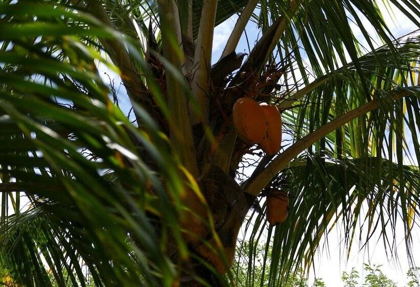 ホテル Bungalows Sanlaz