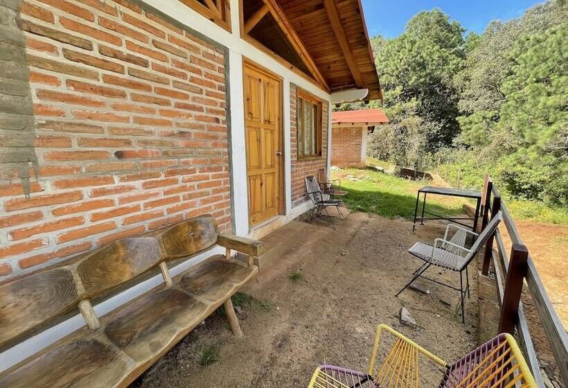 בית מלון כפרי Cabañas Los Pirineos