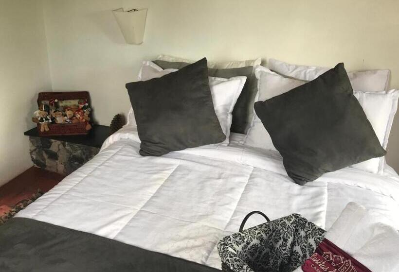 בית מלון כפרי Casitas Barro Iza Boyaca