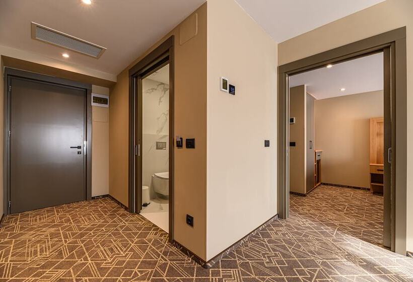 בית מלון כפרי Central Pascani