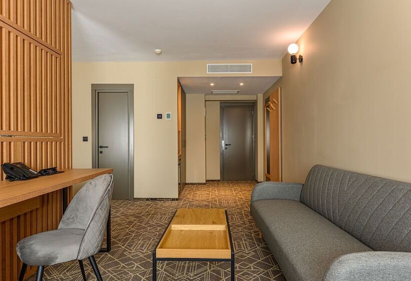 בית מלון כפרי Central Pascani