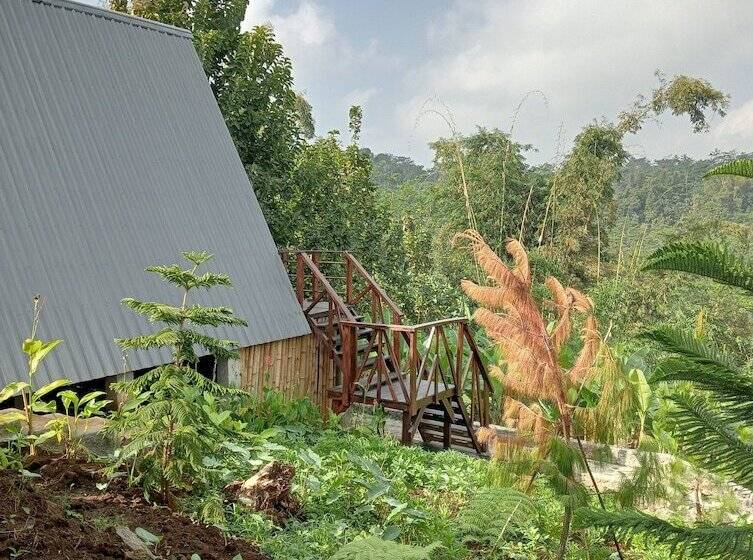 Отель Chalet Bromo Lounge & Lodge