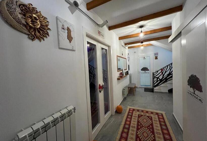 בית מלון כפרי Chestnut Hill