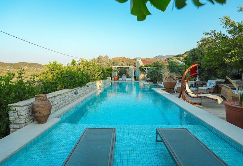 酒店 Datca Damyan Ciftligi