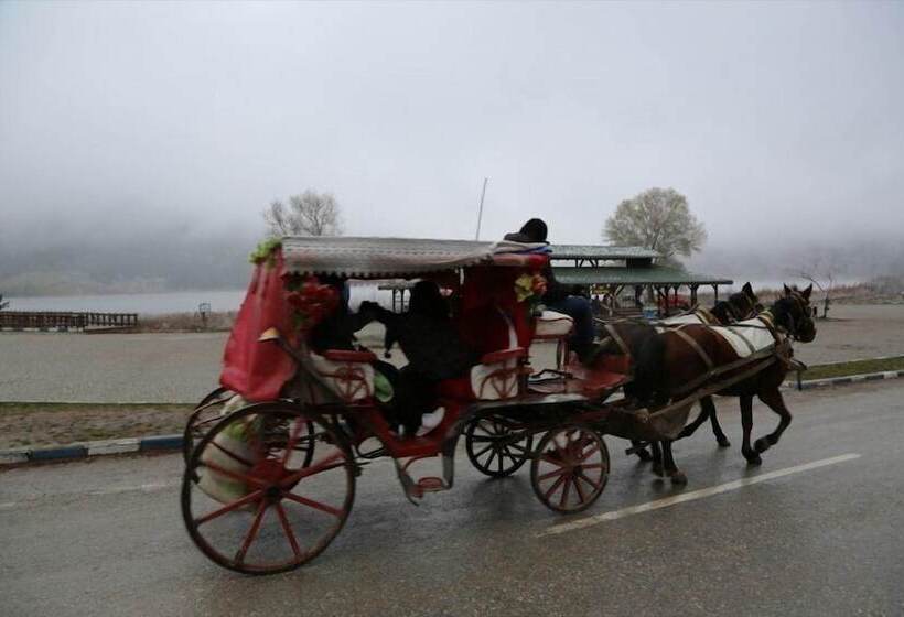 호텔 Center Royal Palace