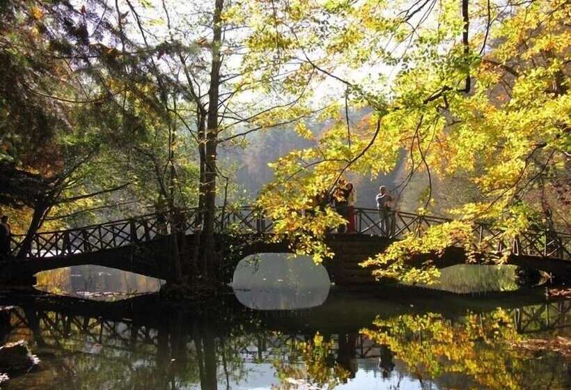 호텔 Center Royal Palace