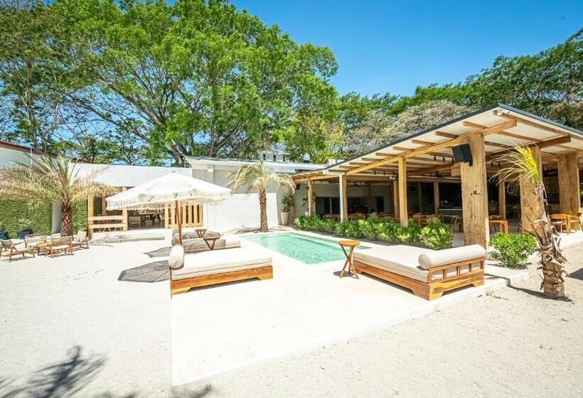 ホテル Elmoro Tamarindo