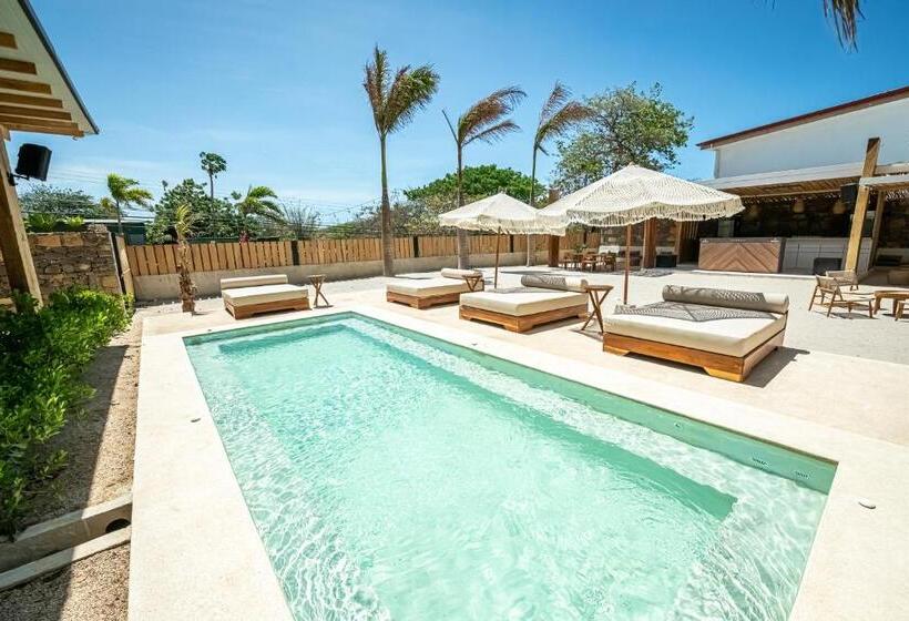 ホテル Elmoro Tamarindo