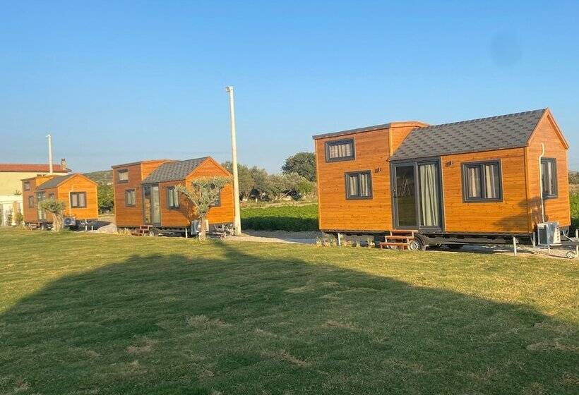 Отель Enginar çiçeği