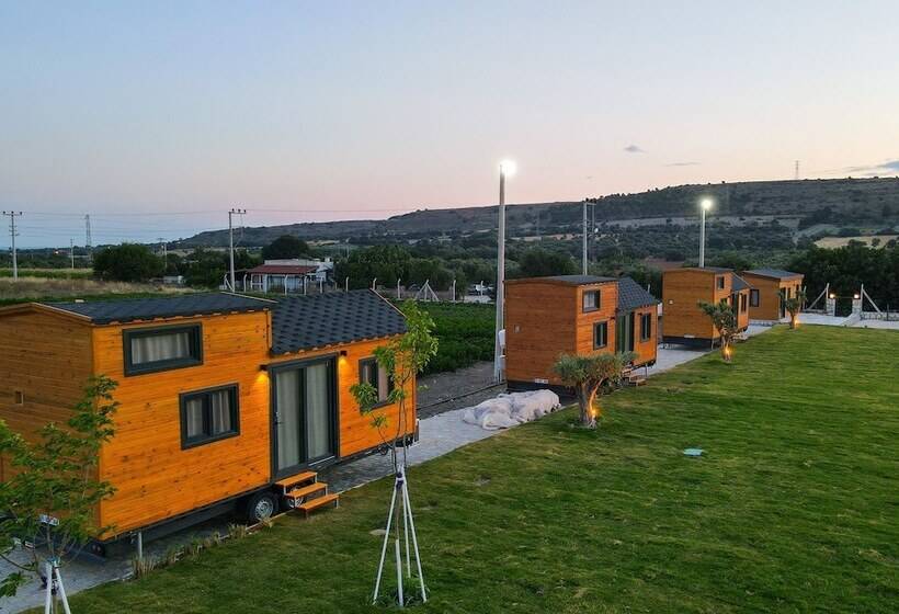 בית מלון כפרי Enginar çiçeği