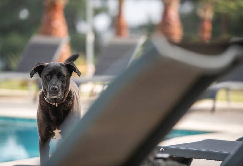 Hotel Ephesus Retreat