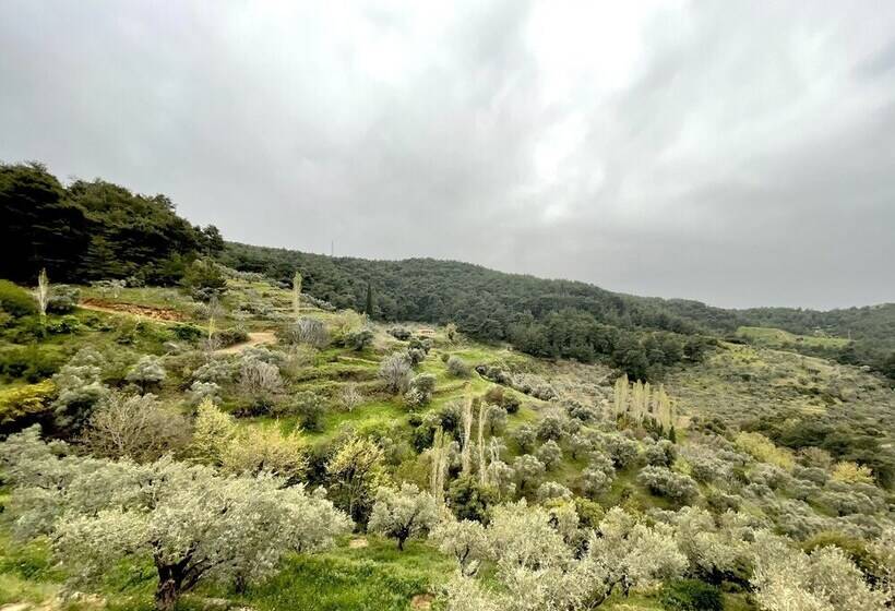 Hotel Ephesus Retreat