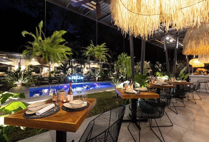 בית מלון כפרי Exôtico Beach