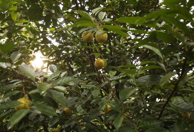 Отель John S Farm And Home