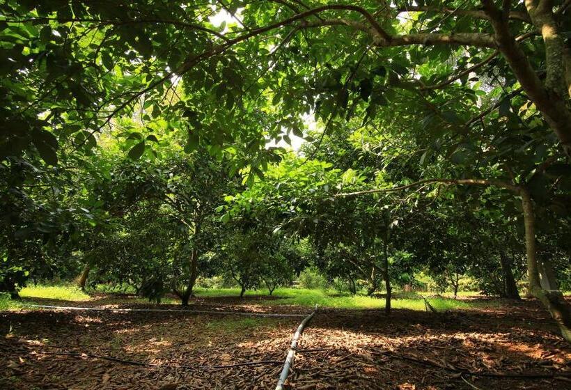 Отель John S Farm And Home