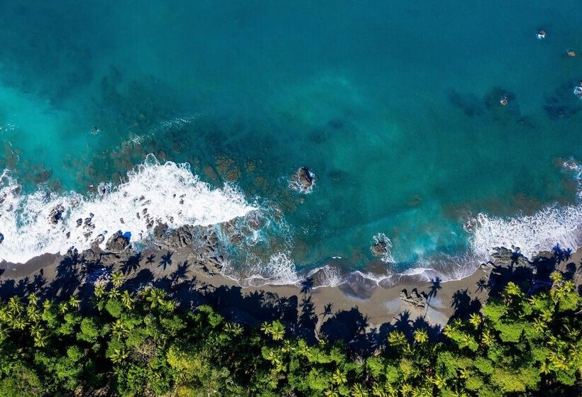 فندق La Ponderosa Beach & Jungle Resort