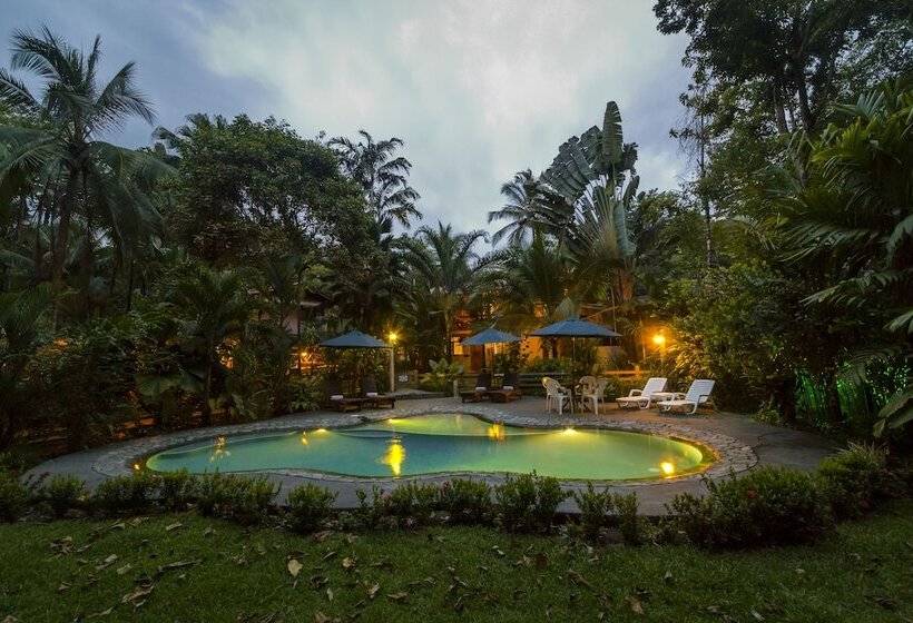 فندق La Ponderosa Beach & Jungle Resort