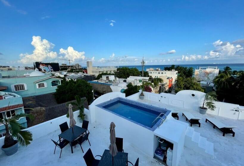 ホテル Mayab Playa   5th. Ave