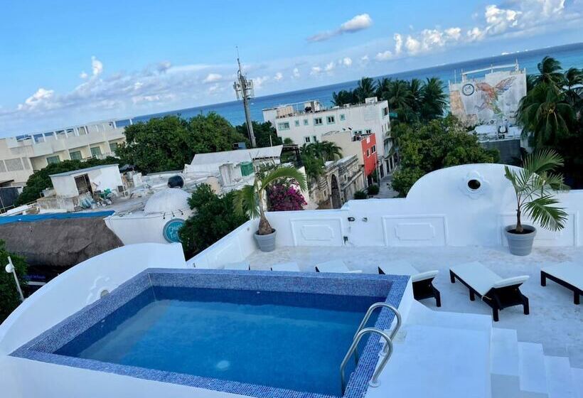 ホテル Mayab Playa   5th. Ave