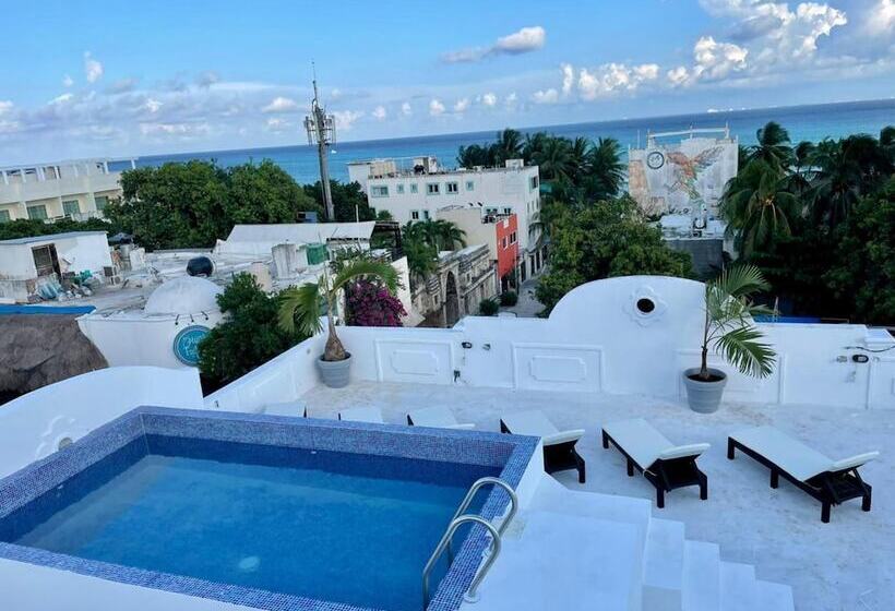 ホテル Mayab Playa   5th. Ave