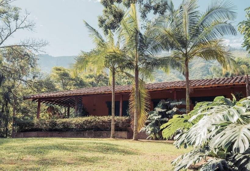 Отель Palma Real Coliving